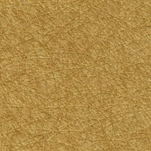 Corn Field Wallcovering