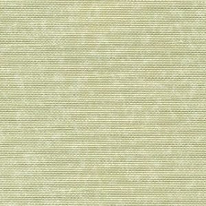 Cream Pastels Wallcovering
