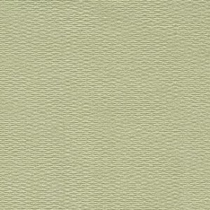 Canvas Lividness Wallcovering