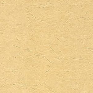 Sarasota Sand Wallcovering
