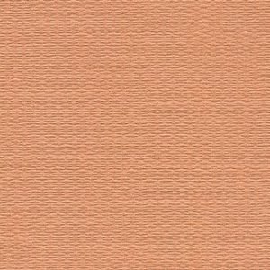 Canvas Strawberry Wallcovering