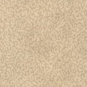 Driven Snow Wallcovering