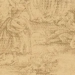 Country Feeling Wallcovering