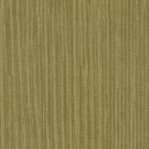 Lush Corduroy Wallcovering