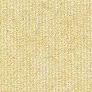 Pastel Border Amber Wallcovering