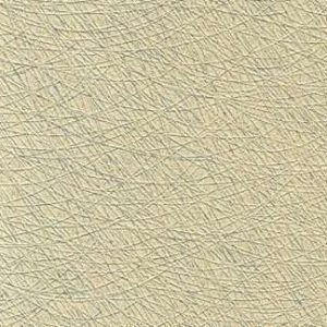 Stringy Coin Wallcovering