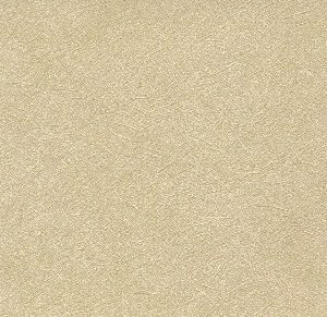 Wallcovering Porcelain Beige
