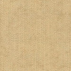 Parchment Mache Wallcovering