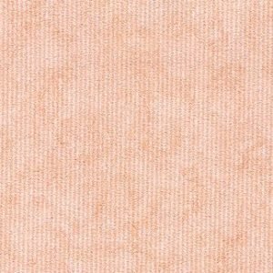Pastel Border Rose Wallcovering