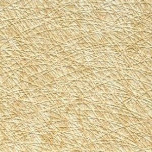 Platinum Blonde Wallcovering