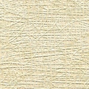 Steamy Window Wallcovering