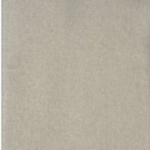 Vinyl wallpaper Silver Fox