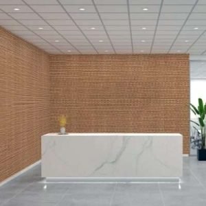 Wallcovering Almond Woven Silk